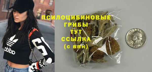 молекула духа Белоозёрский