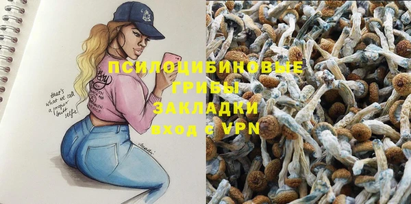 молекула духа Белоозёрский