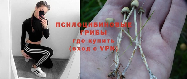 ALPHA PVP Белокуриха