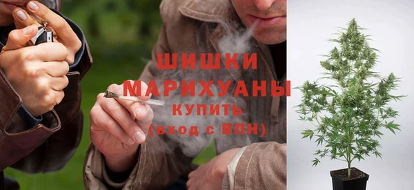 ALPHA PVP Белокуриха