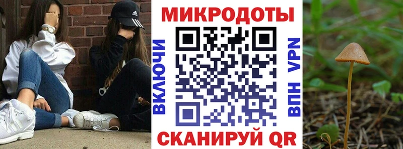 нарко площадка наркотические препараты  mega ссылка  Красный Сулин  купить наркотики сайты  Галлюциногенные грибы прущие грибы 